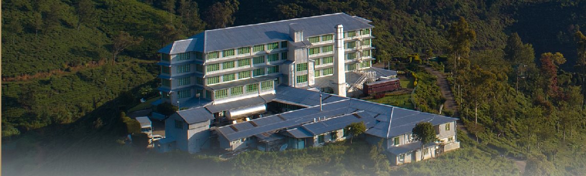 Heritance Tea Factory Background image