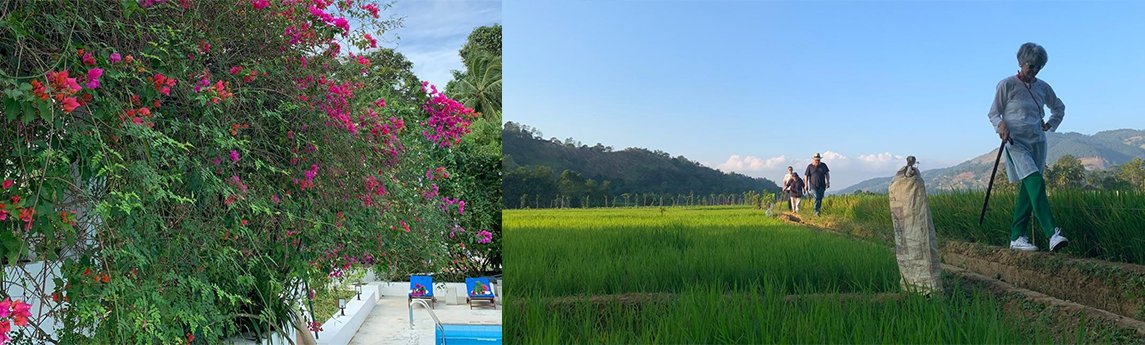 Ellerton Bungalow Background image