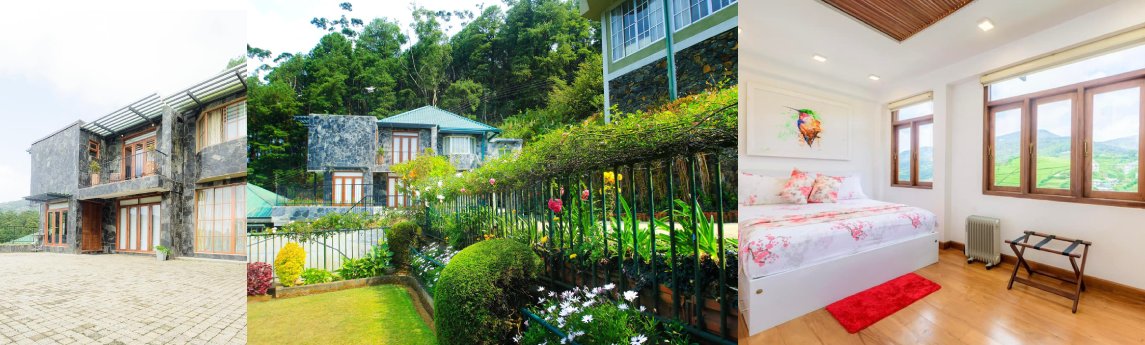 Hummingbird Hill Cottage Background image