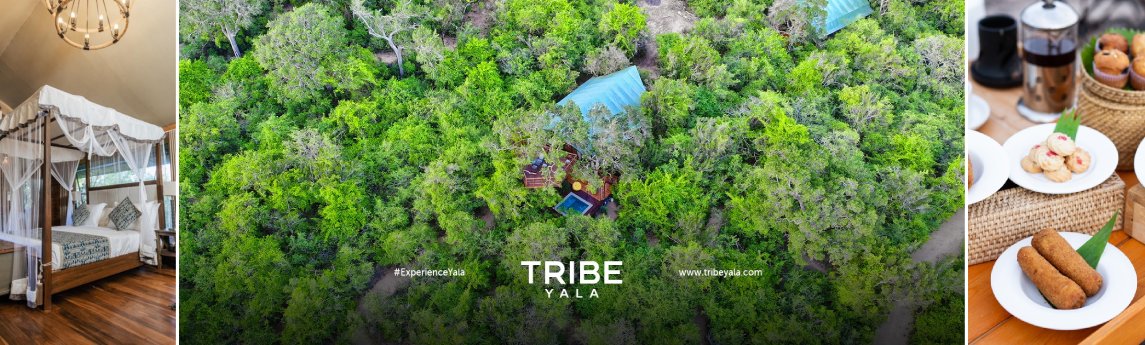 Tribe Yala Background image