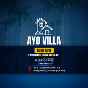 AYO VILLA  logo