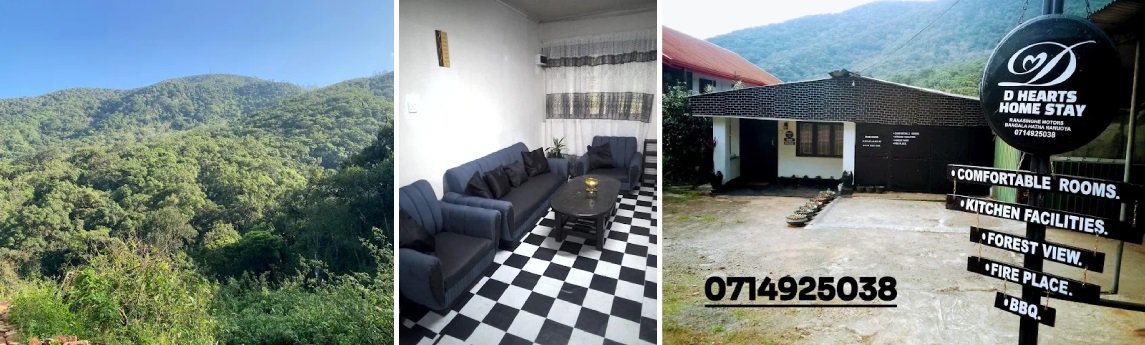 D Hearts Home Stay  Background image