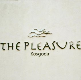 The PLeasure logo