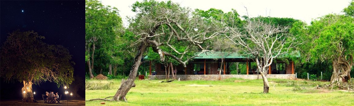 The Ibis Lodge - Wilpattu Background image
