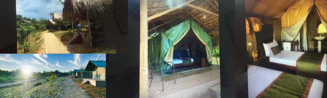 Forest Lodge Eco Camp Udawalawe  Background image