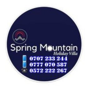 Spring Mountain Villa  logo