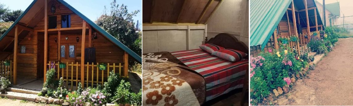Paragon Cozy AGRO & ECO Lodge Background image
