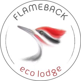 Flameback Eco Lodge  logo