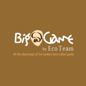 Big Game by Eco Team logo