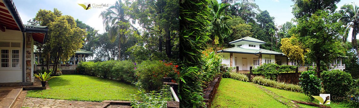 Clovefield Villa Background image