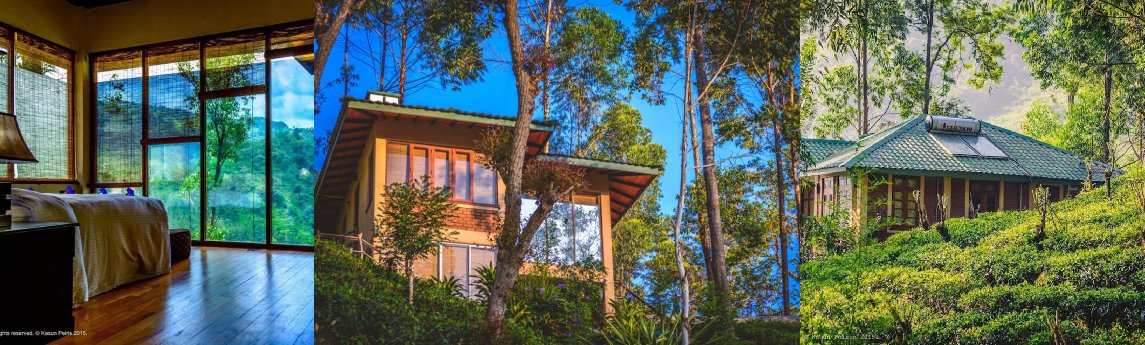 Tea Cottage Resort & Spa Background image
