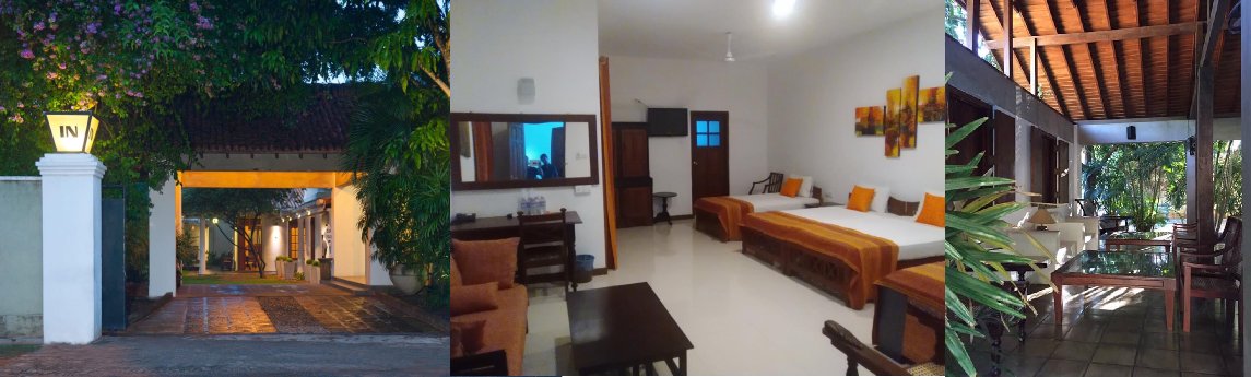 Hotel sunflower Background image