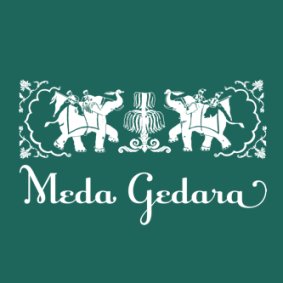 Meda Gedara Villa logo