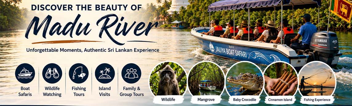 Madu River Boat Safari By Jaliya Background image