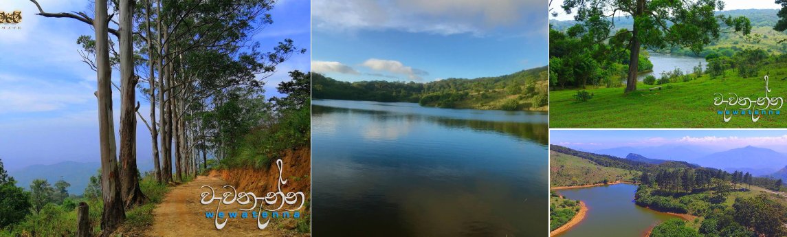 Wewatenna Camping Site  Background image