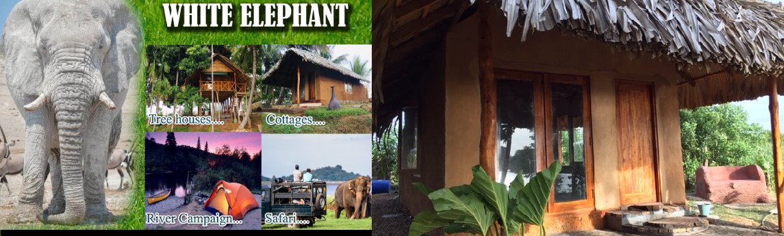 White Elephant Cabana - Udawalawa Background image